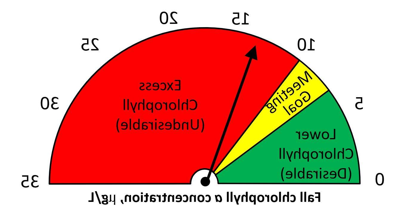 Fall 2024 chlorophyll a = 13 ug/L